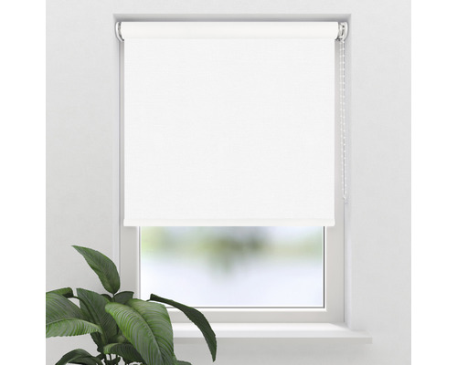Fenster mit einem weißen Rollo