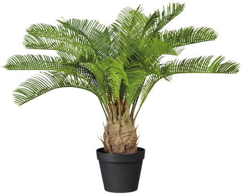Palmier artificiel Cycaspalme H 60 cm vert