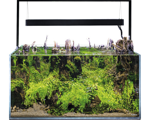 Aquarium AQUAEL UltraScape 90 mit LED Beleuchtung ca. 243 l OPTI-Glas, Weissglas, ohne Unterschrank forest