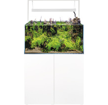 Komplettes Aquarium-Set mit Schrank, Bepflanzung und Beleuchtung