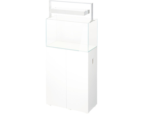 Aquarium combiné avec meuble bas et éclairage