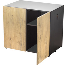 Schrank mit zwei Türen und einem Regalboden
