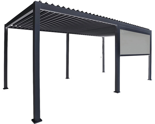 Pergola avec toit à lamelles et écran de confidentialité
