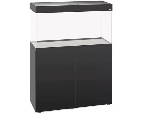 Combinaison aquarium avec meuble