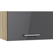 Armoire suspendue avec porte et poignée