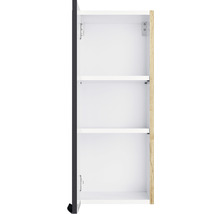 Armoire de salle de bain ouverte avec trois étagères