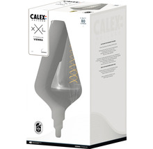 Verpackung einer Calex XXL Titanium Vienna Glühbirne