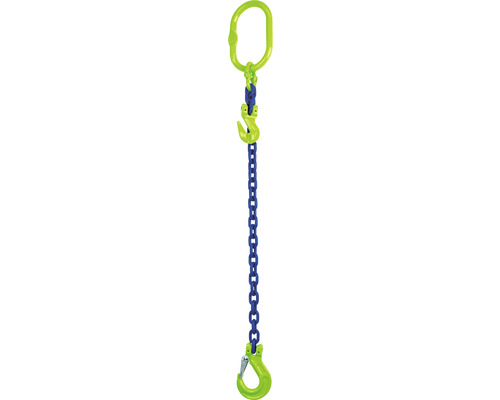 Mamutec Anschlagkette Kettengehänge 1-Strang 6 mm GK10 mit Lasthaken und Verkürzer 4 m Mamutec Anschlagkette Kettengehänge 1-Strang 6 mm GK10 mit Lasthaken und Verkürzer 4 m