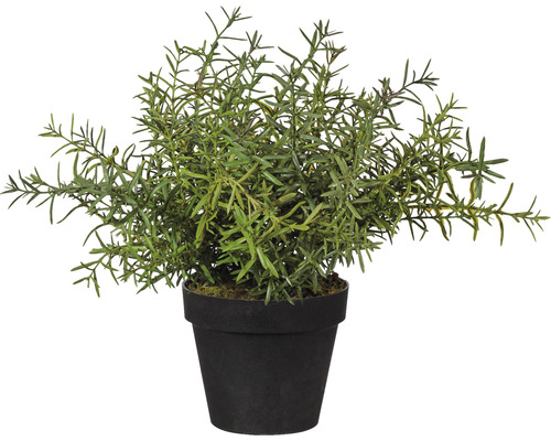 Plante artificielle romarin dans un pot en plastique Ø 14 h 30 cm vert