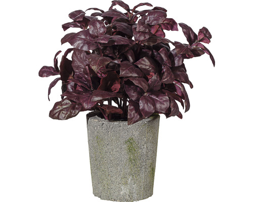 Kunstpflanze Basilikumbusch Ø 14 H 30 cm burgund