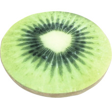 Kissen mit Kiwi-Motiv