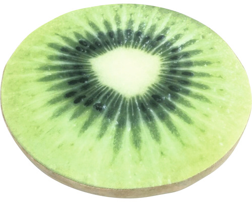 Kissen mit Kiwi-Motiv