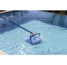 Schwimmbadreiniger mit Teleskopstange im Schwimmbad