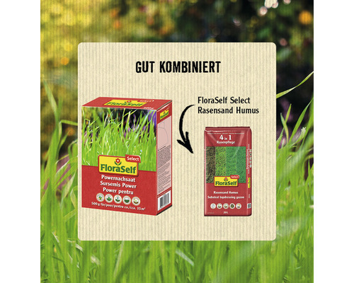 FloraSelf Select Rasensamen und Rasensand Humus im Kombipack