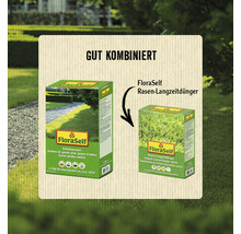 Rasensamen FloraSelf Schattenrasen 1,2 kg 50 m²