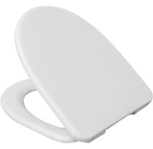 Toilettendeckel aus Kunststoff
