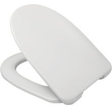 Toilettendeckel aus Kunststoff