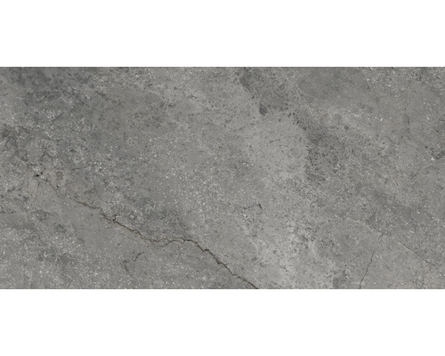 Carrelage sol et mur en grès cérame fin Wells ash poli 30x60 cm