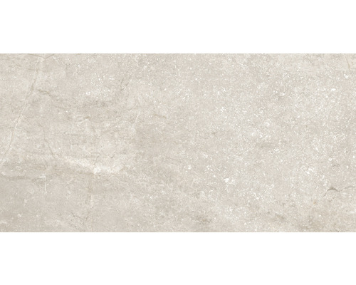 Carrelage sol et mur en grès cérame fin Wells sand poli 30x60x0.95 cm