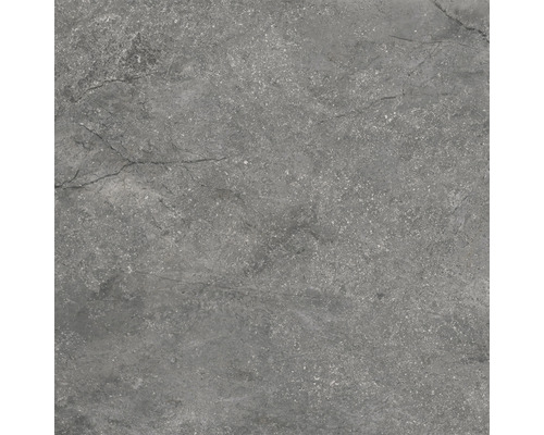 Feinsteinzeug Wand- und Bodenfliese Wells ash matt 60x60 cm