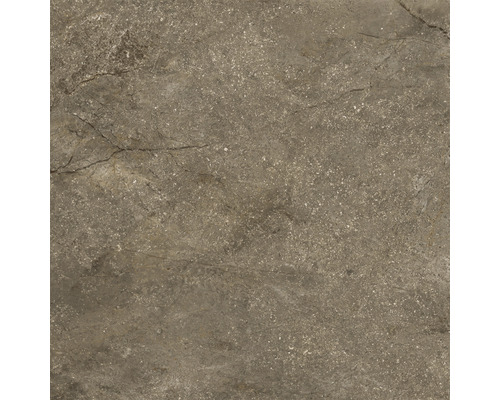 Feinsteinzeug Wand- und Bodenfliese Wells moka matt 60x60x0.95 cm Feinsteinzeug Wand- und Bodenfliese Wells moka matt 60x60x0.95 cm