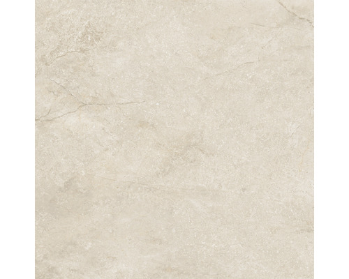 Feinsteinzeug Wand- und Bodenfliese Wells cream poliert 60x60 cm