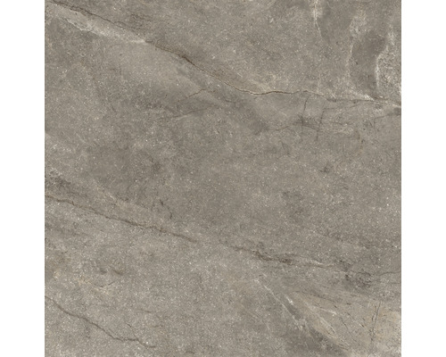 Feinsteinzeug Wand- und Bodenfliese Wells moka poliert 90x90x1.05 cm Feinsteinzeug Wand- und Bodenfliese Wells moka poliert 90x90x1.05 cm