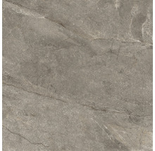 Feinsteinzeug Wand- und Bodenfliese Wells moka matt 120x120x1.07 cm