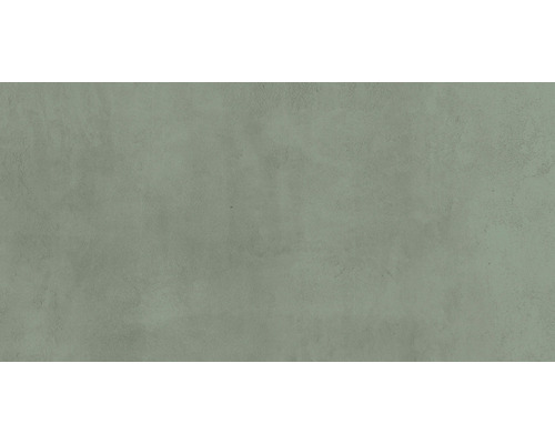 Feinsteinzeug Wand- und Bodenfliese Noblesse saggio matt BxLxS 30x60x0.95 cm Feinsteinzeug Wand- und Bodenfliese Noblesse saggio matt BxLxS 30x60x0.95 cm