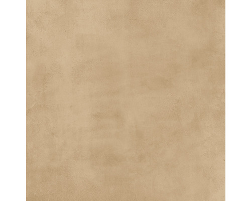 Carrelage sol et mur en grès-cérame fin Noblesse 60 x 60 x 0,95 cm siena marron mat rectifié