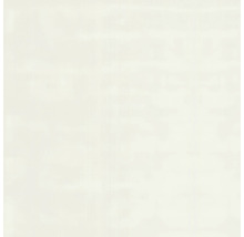 Arrière-plan blanc.