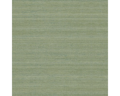 Nahaufnahme einer grünen Strukturtapete. Nahaufnahme einer grünen Strukturtapete.