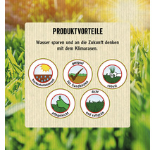 Produktvorteile Klimarasen: trockenheitstolerant, geeignet für Sandböden, robust, pflegeleicht, dicht und sattgrün.