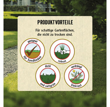 Rasensamen FloraSelf Schattenrasen 1,2 kg 50 m²