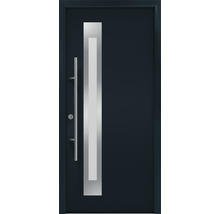 Moderne Haustür mit Glaseinsatz und Edelstahlgriff