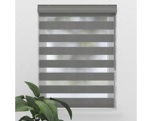Graues Doppelrollo am Fenster