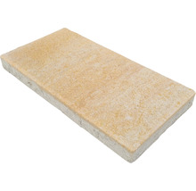 Dalle de terrasse en béton iStone Alive grès 40 x 20 x 4 cm