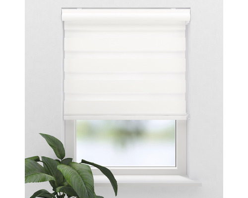 Fenster mit weissem Duo-Rollo zur Lichtregulierung