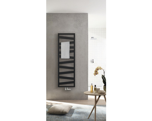 Salle de bain moderne avec sèche-serviettes, douche et décoration