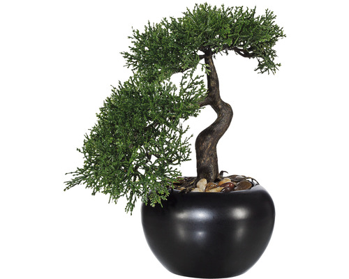Kunstpflanze Bonsai Zeder H 25 cm grün