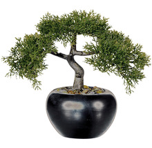 Künstlicher Bonsai Baum im Topf als Dekoration