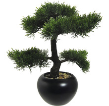 Künstlicher Bonsai-Baum im schwarzen Topf für die Innendekoration