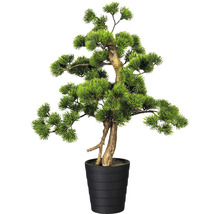 Künstlicher Bonsai Baum im schwarzen Topf