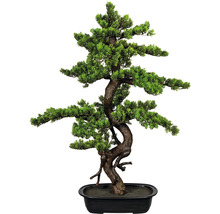 Kunstpflanze Bonsai Myrte Ø 55 H 85 cm grün
