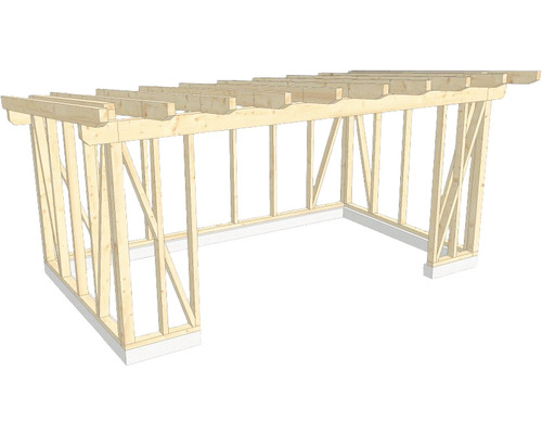 Structure en bois construction à ossature porteuse toit en appentis 350x600 cm Construction à ossature en bois pour un projet de construction