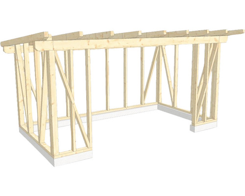 Structure en bois construction à ossature porteuse toit en appentis 300x550 cm Structure à ossature en bois d''un abri