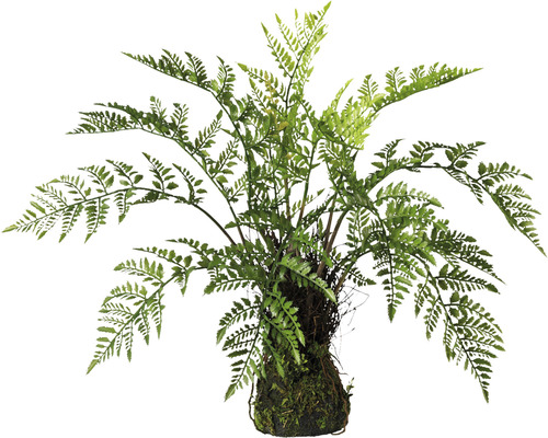 Kunstpflanze Farn auf Moosballen 50 cm H 60 cm grün