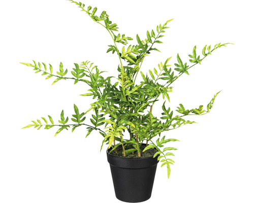 Plante artificielle Aspidie du Japon h 40 cm vert