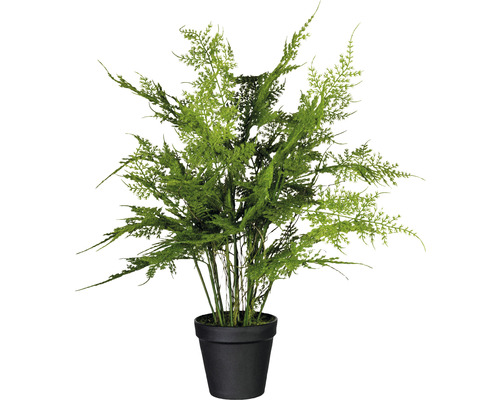 Plante artificielle Asparagus Fougère en pot H 40 cm vert