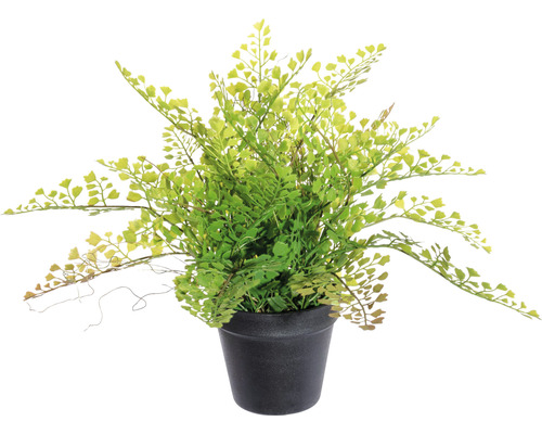 Kunstpflanze Adianthumfarn H 40 cm grün